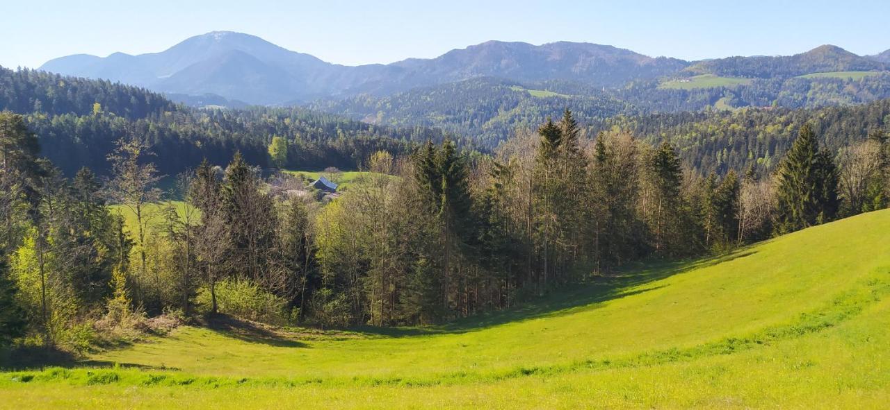 Kmetija Pecnik Prevalje Exterior foto