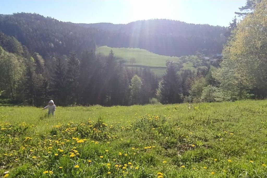 Kmetija Pecnik Prevalje Exterior foto