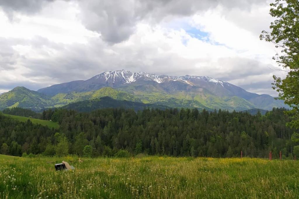 Kmetija Pecnik Prevalje Exterior foto