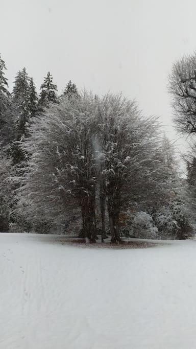 Kmetija Pecnik Prevalje Exterior foto
